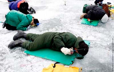 1263831915_1263389963_ice_fishing_10_1_.jpg