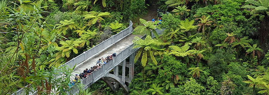 bridge_Whanganui-River.jpg