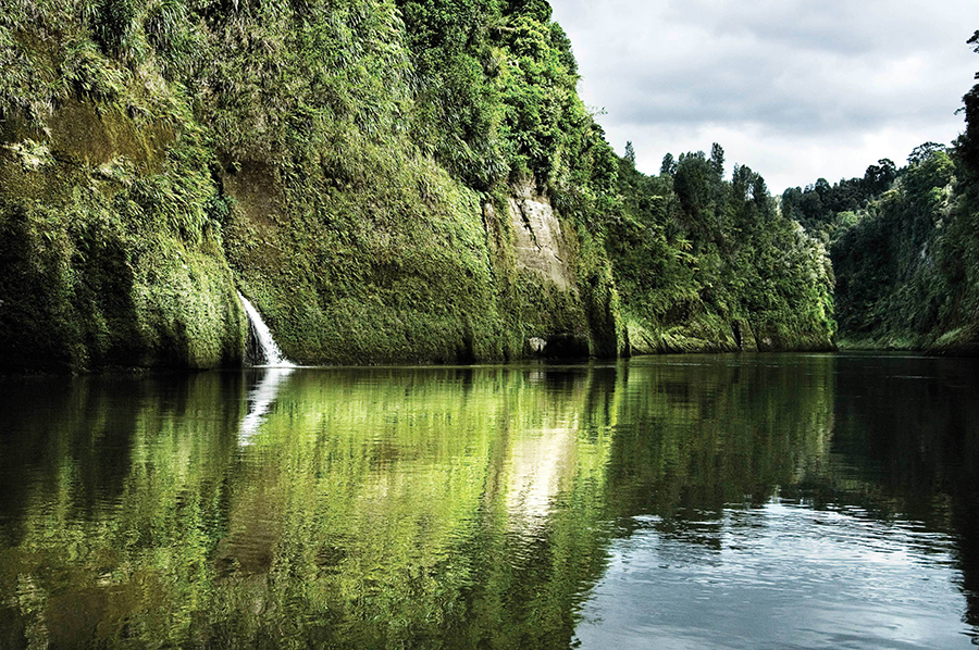 whanganui_river_1.jpg