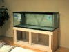 226bfa4481224798b592ed4efda07c97--diy-aquarium-stand-aquarium-ideas.jpg