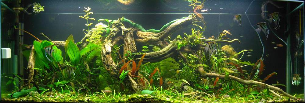 Akvarium